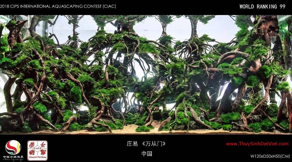 Hồ thủy sinh đạt hạng 99 trong cuộc thi CIAC 2018 Hồ thủy sinh đạt hạng 99 trong cuộc thi CIAC 2018