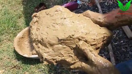 Dơ là yếu tố bất lợi nhất của phân trộn khi set up hồ thủy sinh Dơ là yếu tố bất lợi nhất của phân trộn khi set up hồ thủy sinh