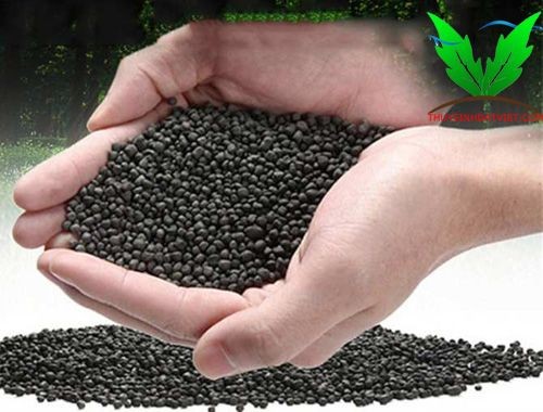 Phân viên thủy sinh tùy thuộc vào công thức của mỗi hãng khác nhau Phân viên thủy sinh tùy thuộc vào công thức của mỗi hãng khác nhau