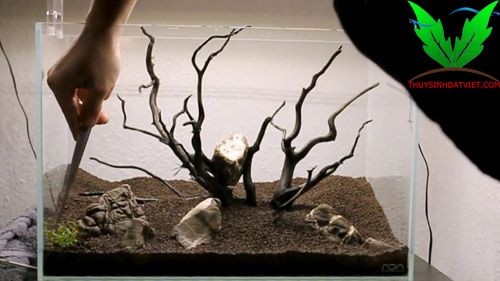 Độ tiện dụng của phân viên hơn hẳn phân trộn cho hồ thủy sinh Độ tiện dụng của phân viên hơn hẳn phân trộn cho hồ thủy sinh