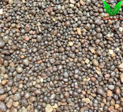 Sỏi suối dùng để dằn bên trên phân nền trộn Sỏi suối dùng để dằn bên trên phân nền trộn