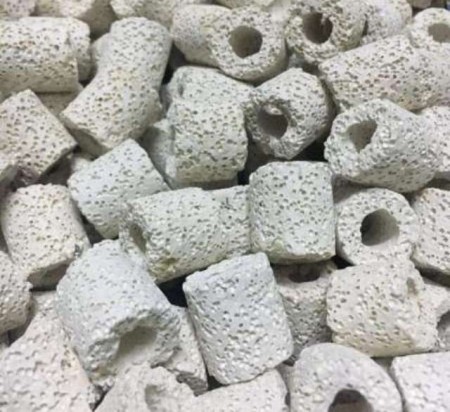 sứ lọc nơi hệ vi sinh trú trong lọc hồ thủy sinh sứ lọc nơi hệ vi sinh trú trong lọc hồ thủy sinh