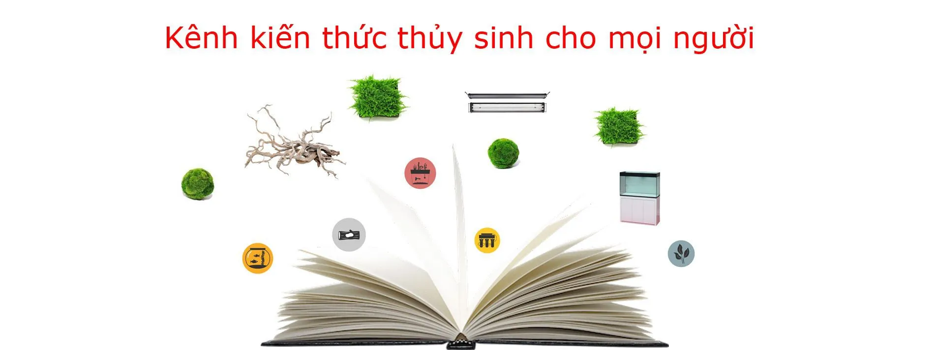 Kênh tin tức thủy sinh lớn nhất Việt Nam