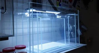 Hồ cá kính siêu trong là gì 