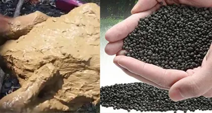 So sánh nền phân trộn với phân viên hồ thuỷ sinh 