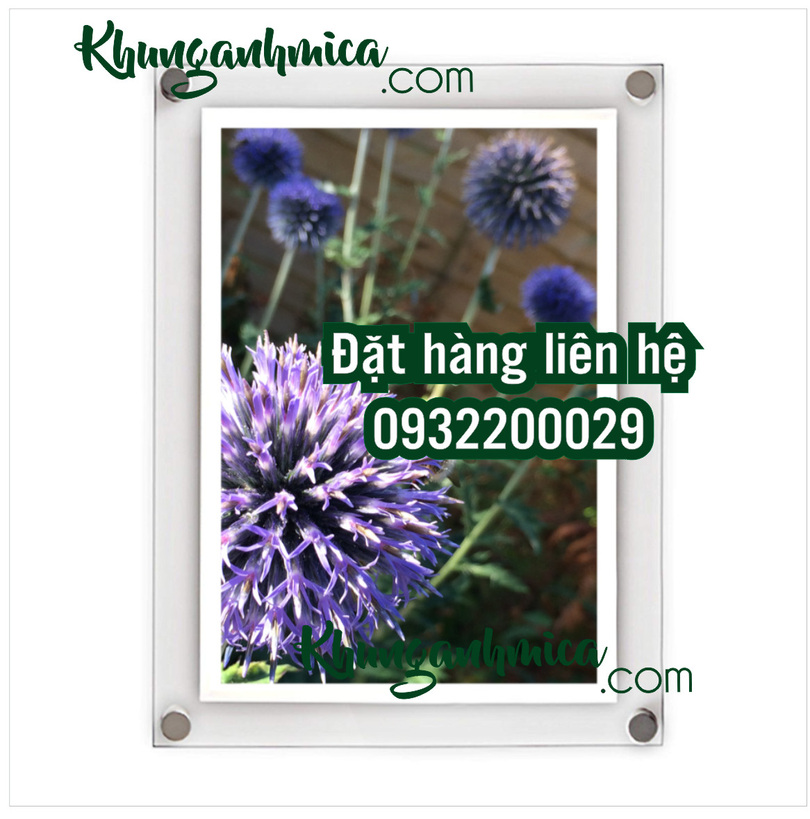 Ảnh để trong khung hay in trực tiếp