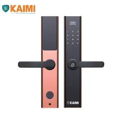 Khóa Vân Tay Kaimi BTM103 Viền Đồng