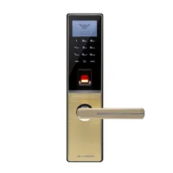 Khóa cửa vân tay kết hợp mã số DESSMANN G810FP Gold