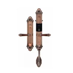 Khóa cửa điện tử HIMEDIA P69