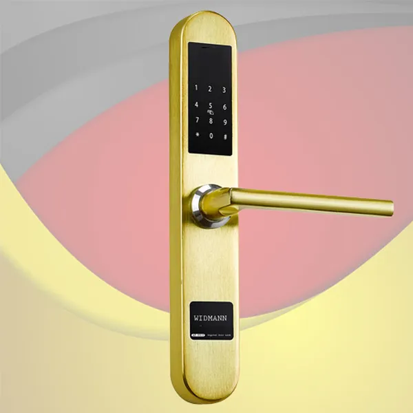 Khóa cửa thẻ từ - mã số Widmann AC-8801