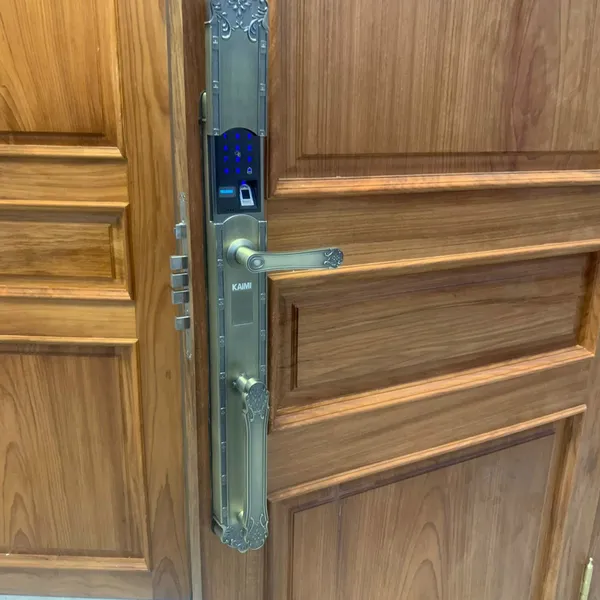 Khóa Tân Cổ Điển Đại Sảnh Kaimi DS102