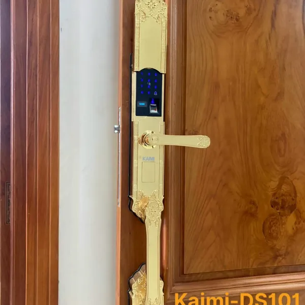 Khóa Tân Cổ Điển Đại Sảnh Kaimi DS101