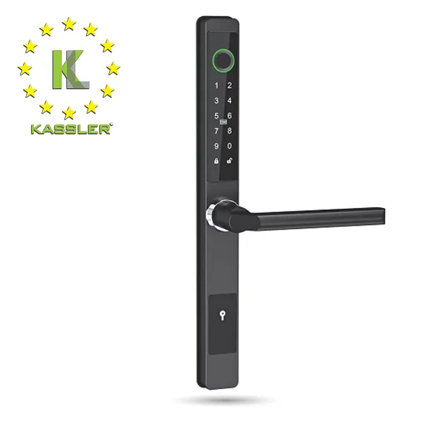 Khóa cửa vân tay Kassler KL-599 CB (Màu đen)