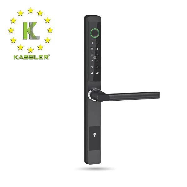 Khóa cửa vân tay Kassler KL-599 CB (Màu đen)