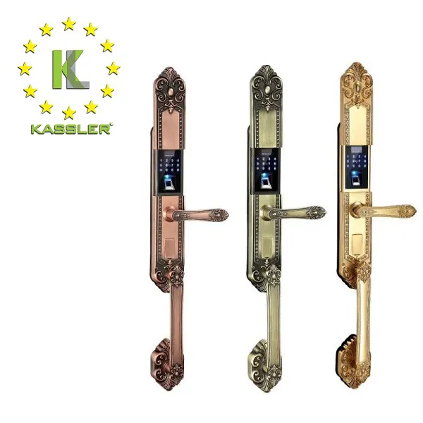 Khóa cửa vân tay tân cổ Kassler KL - 979R