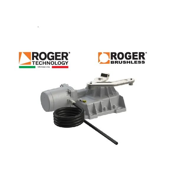 Motor Cổng Âm Sàn Roger BR21-351/HS 36v 400kg Italia