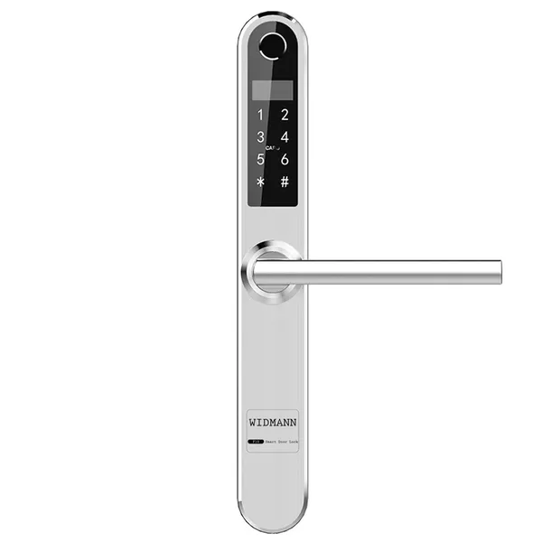 Khóa của nhôm kính WIDMANN F10