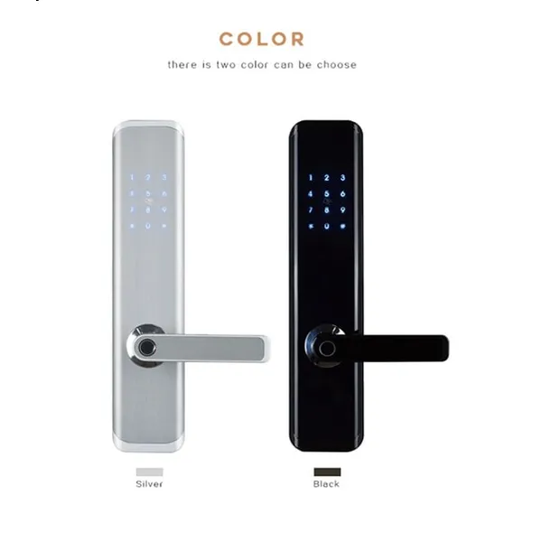 Khóa Cửa Điện Tử Capsule B1