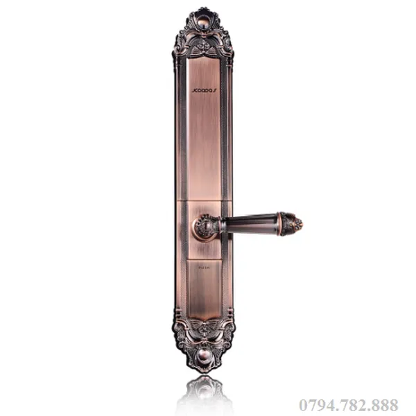 Khóa cửa vân tay Kaadas 6002 - Gold