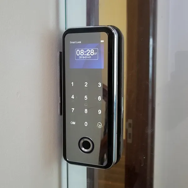 Khóa Vân Tay Cửa Kính Capsule C300GF 