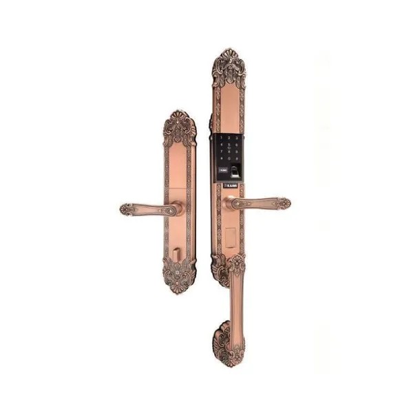 Khóa Tân Cổ Điển Đại Sảnh Kaimi DS101