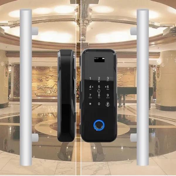 Khóa Vân Tay Cửa Kính Capsule C300GF 