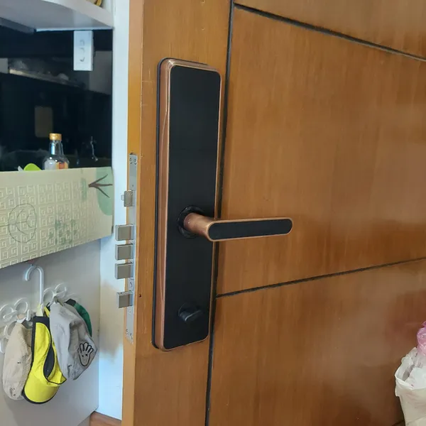 Khóa Vân Tay Kaimi BTM101 Viền Đồng