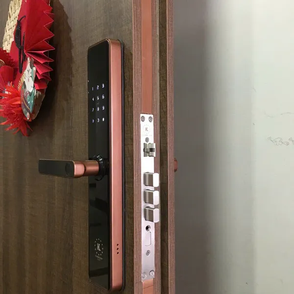Khóa Cửa Vân Tay Kassler KL-669C COPPER