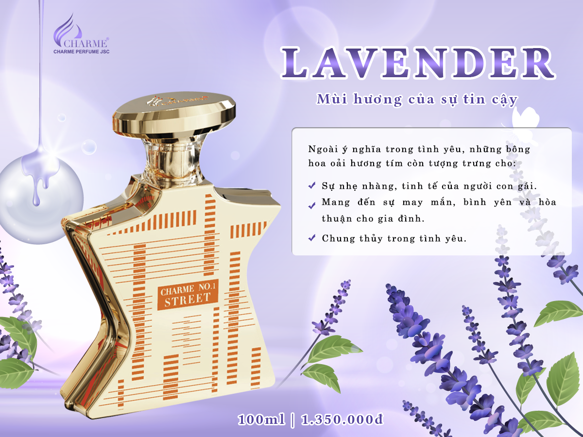 Hương Hoa Lavender - Hoa Oải Hương