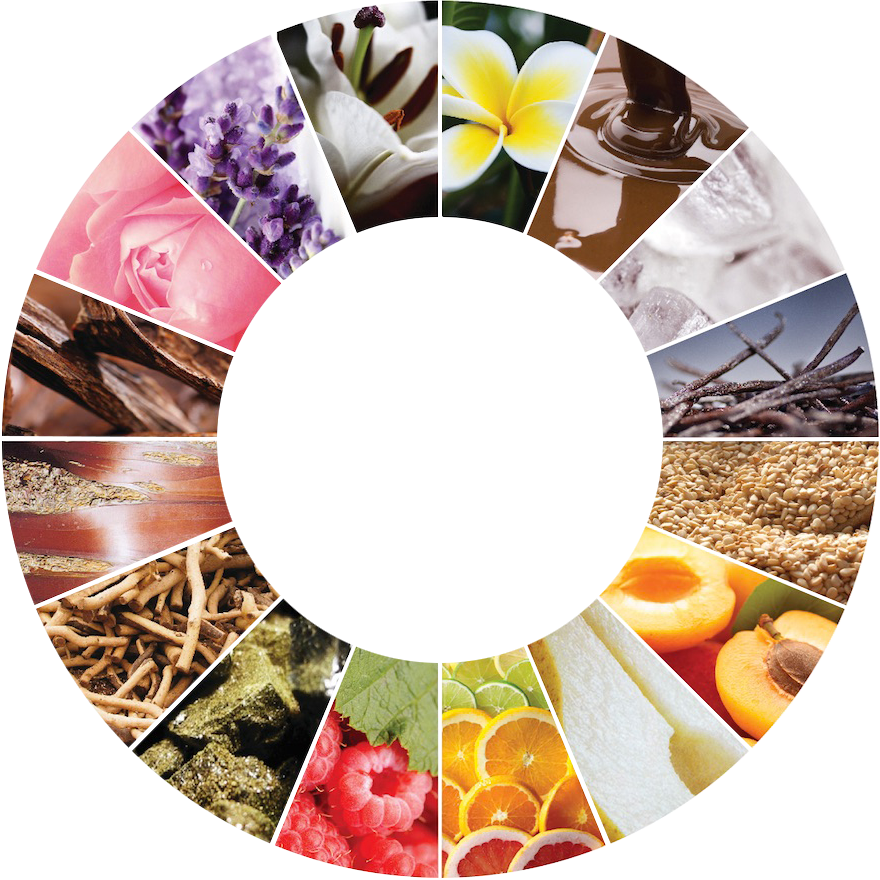 12 Nguyên Nhân Nước Hoa Chính Hãng Bị Biến Đổi Mùi