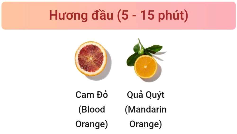 Nước Hoa Charme Lonely 75ml Nữ Chính Hãng