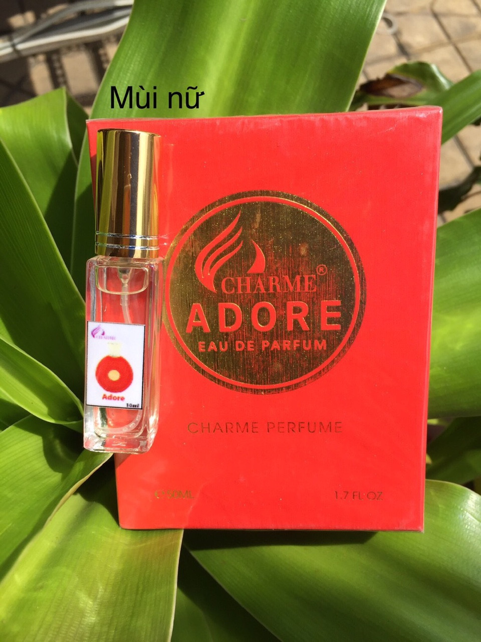 Nước Hoa Charme Mini 10ml