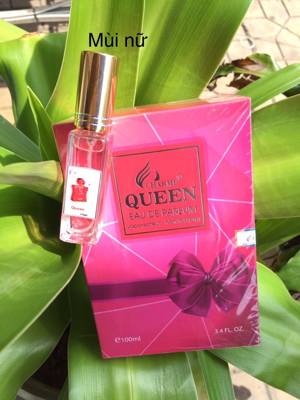 Nước Hoa Charme Mini 10ml