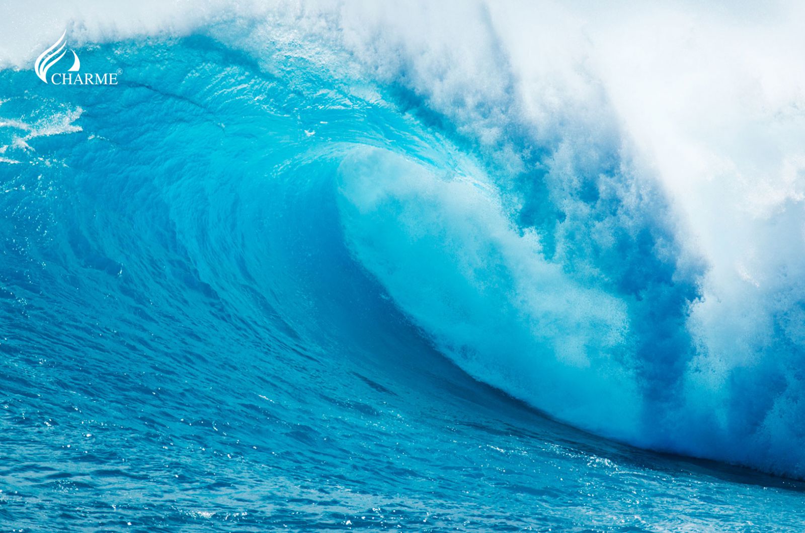 Top Nước Hoa Mùa Hè Cho Nữ