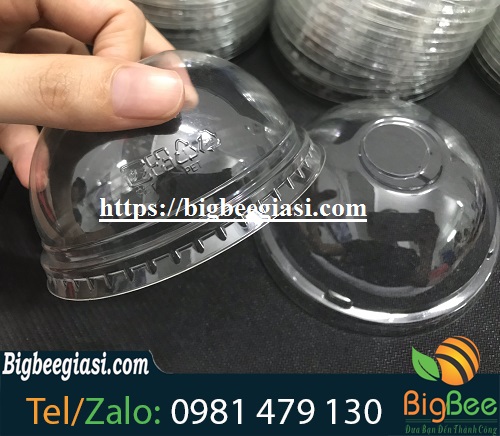 nắp cầu phi 98 nắp cầu phi 98