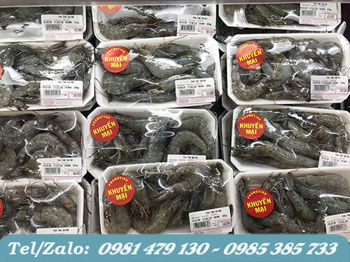 khay xốp đựng thực phẩm màu trắng