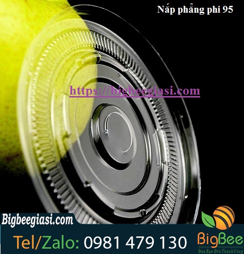 nắp phẳng phi 95 nắp phẳng phi 95
