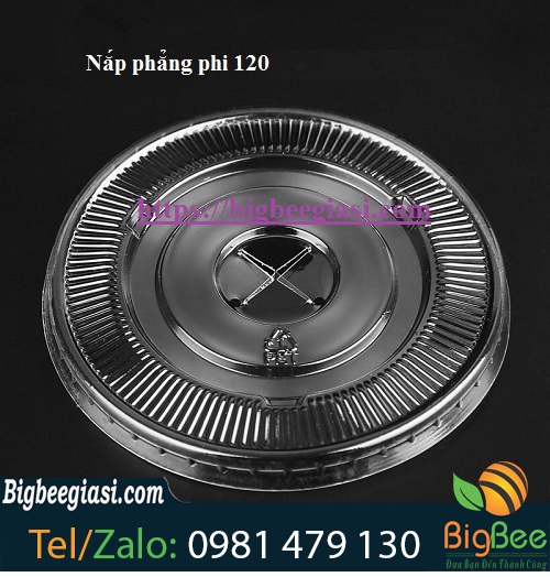 nắp phẳng phi120 nắp phẳng phi 120