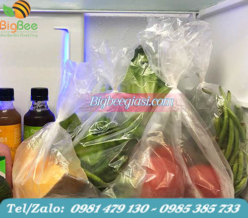 màng bọc thực phẩm trong tủ lạnh