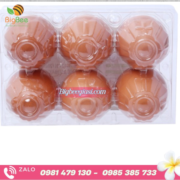 Vỉ đựng 6 trứng gà vịt Vỉ đựng 6 trứng gà vịt