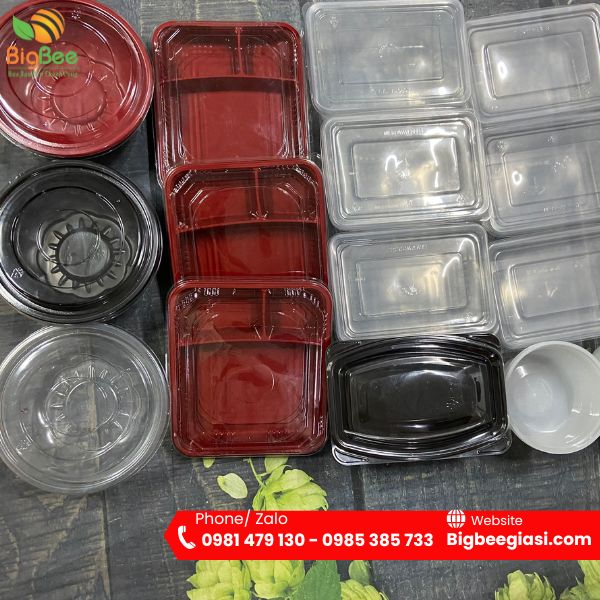 Hộp nhựa trong đựng bánh ngọt, trái cây cắt sẵn Hộp nhựa trong đựng bánh ngọt, trái cây cắt sẵn