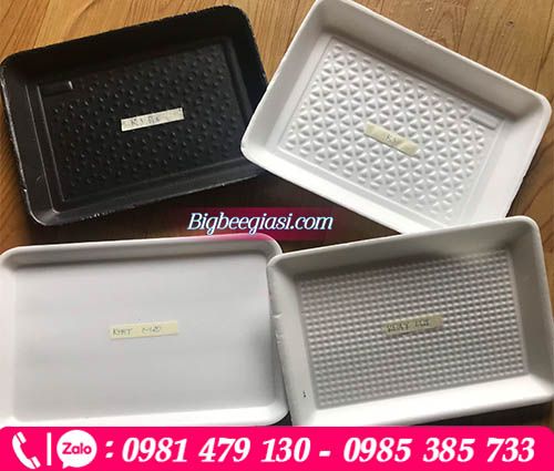 Khay xốp đựng thịt, cá, rau củ