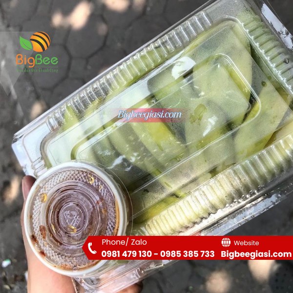 Hộp nhựa trong H50 Hộp nhựa trong H50