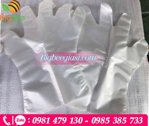 Bao tay xốpi chế biến thực phẩm