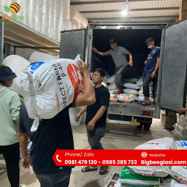 Túi nilon, túi pe, pp, túi hột xoài đóng gói trong bao thuận tiện vận chuyển Túi nilon, túi pe, pp, túi hột xoài đóng gói trong bao thuận tiện vận chuyển