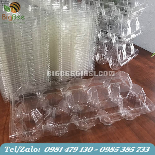 vỉ đựng trứng gà vịt 10 quả