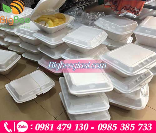 Hộp xốp đựng múi sầu riêng