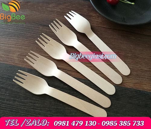 Nĩa gỗ dùng 1 lần