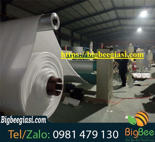 Sản xuất hộp xốp đựng cơm, mẫu mã đa dạng Sản xuất hộp xốp đựng cơm, mẫu mã đa dạng