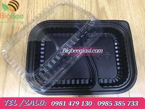 hộp nhựa đế đen ht205 nắp trong